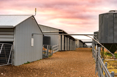 June 2020 / GLENRAE_0061