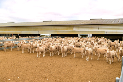 June 2020 / GLENRAE_0064