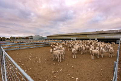 June 2020 / GLENRAE_0069