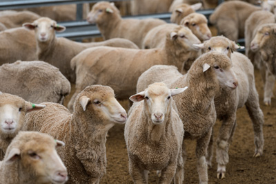 June 2020 / GLENRAE_0076