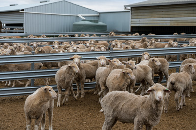 June 2020 / GLENRAE_0080