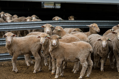 June 2020 / GLENRAE_0103