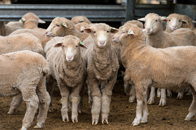 June 2020 / GLENRAE_0104