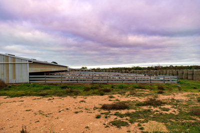 June 2020 / GLENRAE_0108