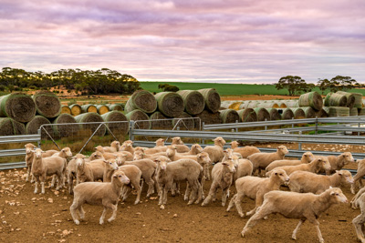 June 2020 / GLENRAE_0122