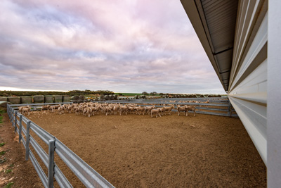 June 2020 / GLENRAE_0151