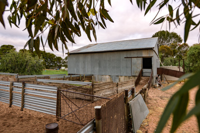 June 2020 / GLENRAE_0266