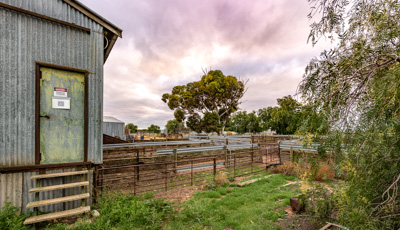 June 2020 / GLENRAE_0296