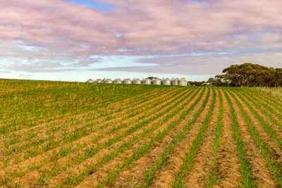 June 2020 / GLENRAE_0410