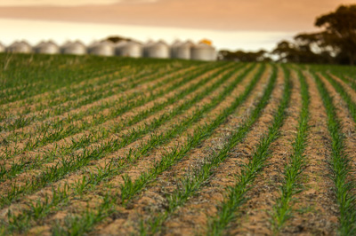 June 2020 / GLENRAE_0416