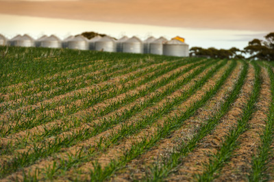 June 2020 / GLENRAE_0434