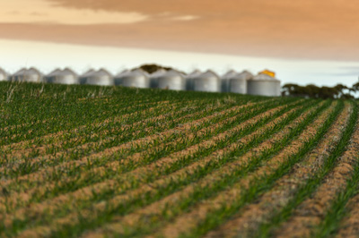 June 2020 / GLENRAE_0440