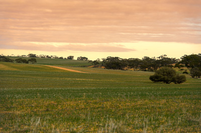 June 2020 / GLENRAE_0452