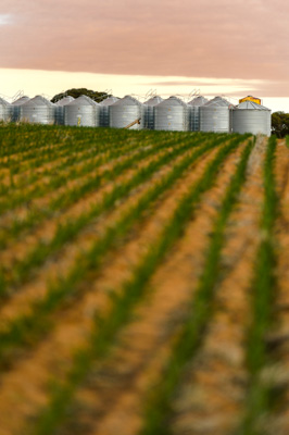 June 2020 / GLENRAE_0479