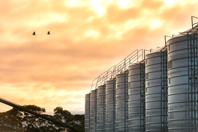 June 2020 / GLENRAE_0542