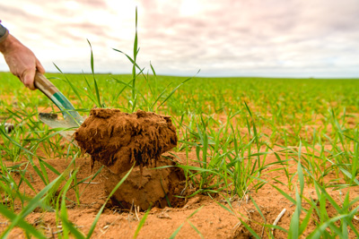 June 2020 / GLENRAE_0735