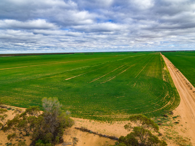 June 2020 / GLENRAE_0822