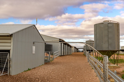 June 2020 / GLENRAE_0956