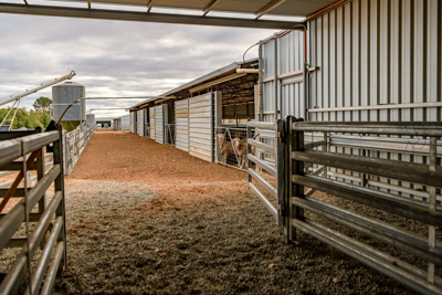 June 2020 / GLENRAE_0986