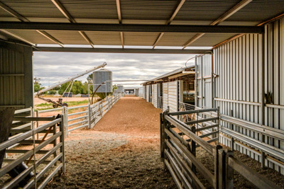 June 2020 / GLENRAE_0989