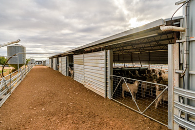 June 2020 / GLENRAE_1001