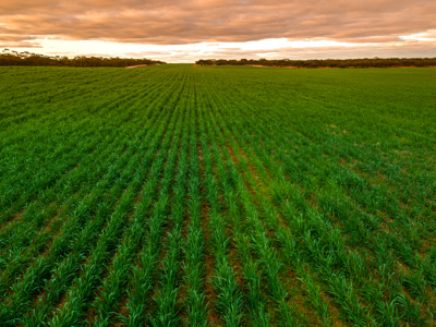 June 2020 / GLENRAE_1090