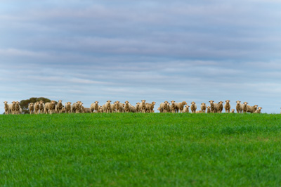 June 2020 / GLENRAE_1119