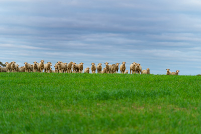 June 2020 / GLENRAE_1125