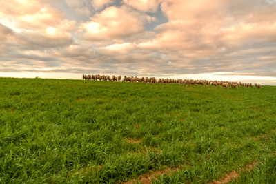 June 2020 / GLENRAE_1192