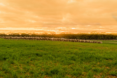 June 2020 / GLENRAE_1223