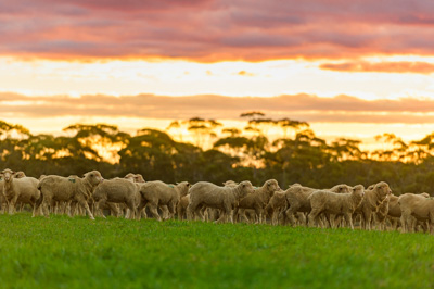 June 2020 / GLENRAE_1242