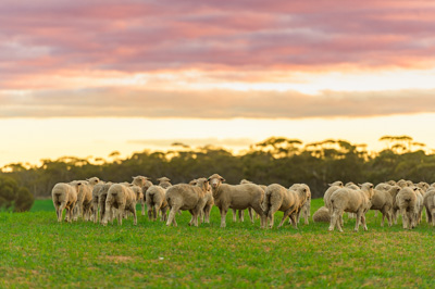 June 2020 / GLENRAE_1280