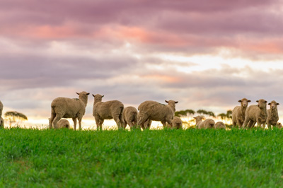 June 2020 / GLENRAE_1357