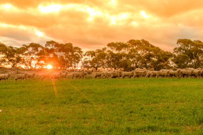 June 2020 / GLENRAE_1503