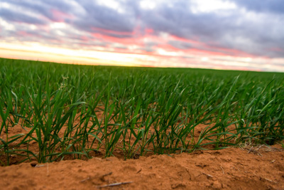 June 2020 / GLENRAE_1659