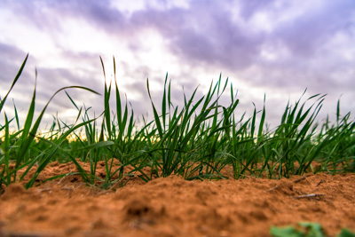 June 2020 / GLENRAE_1671