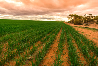 June 2020 / GLENRAE_1683