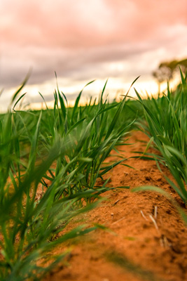 June 2020 / GLENRAE_1701