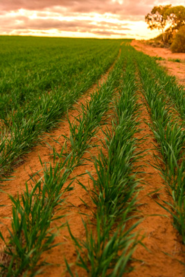 June 2020 / GLENRAE_1710