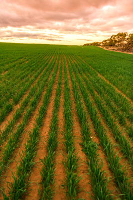 June 2020 / GLENRAE_1719