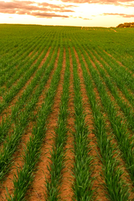 June 2020 / GLENRAE_1728