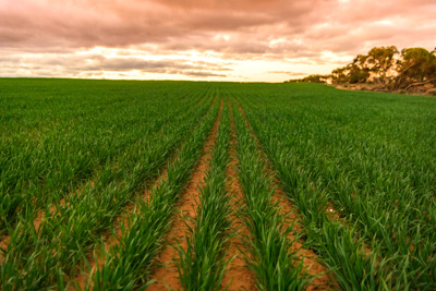 June 2020 / GLENRAE_1746