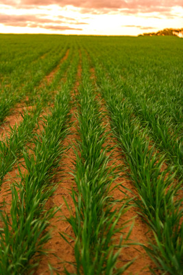 June 2020 / GLENRAE_1758