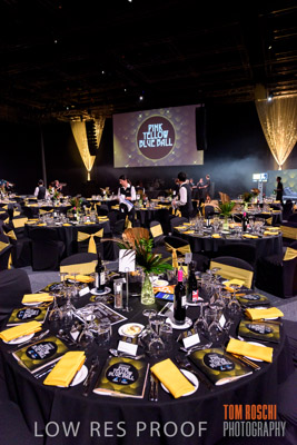 PYB_BALL_81E0817_lrp