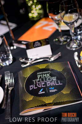 PYB_BALL_81E0820_lrp