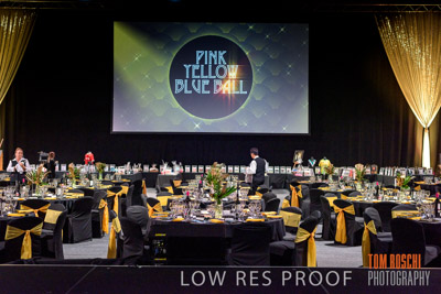 PYB_BALL_81E0826_lrp