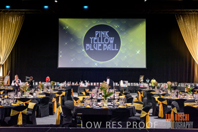 PYB_BALL_81E0827_lrp