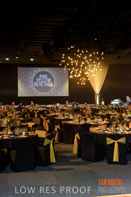 PYB_BALL_81E0832_lrp