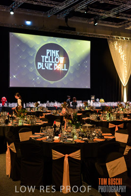 PYB_BALL_81E0866_lrp