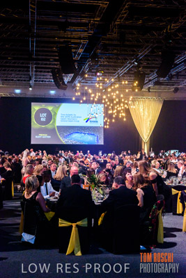 PYB_BALL_81E1116_lrp